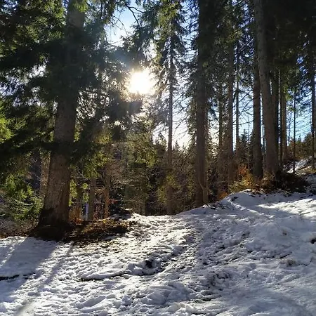 Elitsa Apartamento Pamporovo